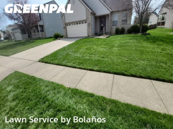 Lawn Mow nearby Pataskala, OH, 