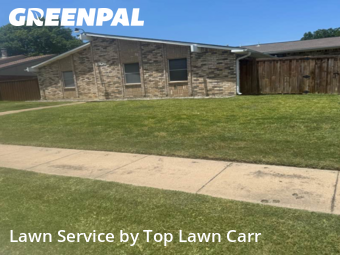 Lawn Cut nearby Grand Prairie, TX, 