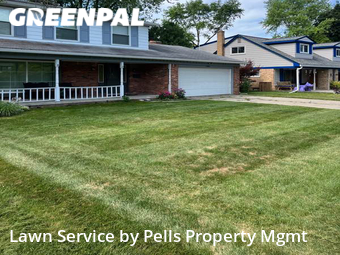 Lawn Cut nearby Ann Arbor, MI, 