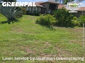 Grass Cut nearby Cape Coral, FL, 