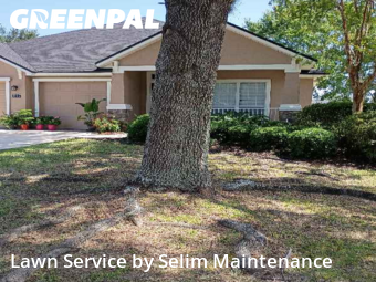 Grass Cut nearby St. Augustine, FL, 