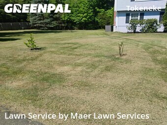 Lawn mowed in Darien, 6820