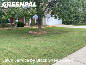 Yard Mowing nearby Rock Hill, NC, 