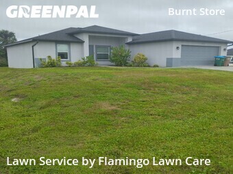 Grass Cut nearby Cape Coral, FL, 