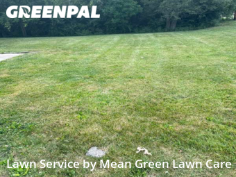 Lawn Care Service nearby Raytown, MO, 