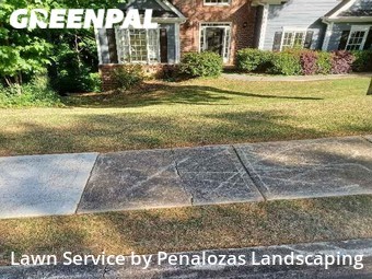 Grass Cut nearby Cumming, GA, 