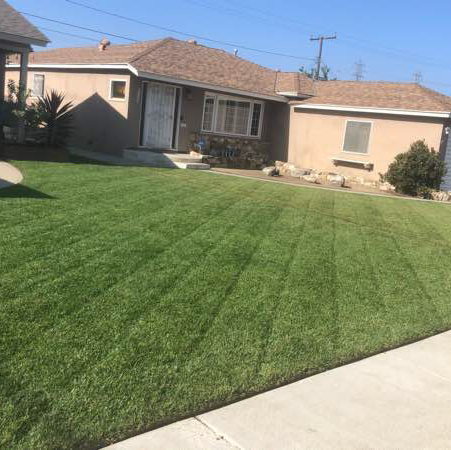 Yard mowing company in Torrance, CA, 90504