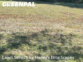 Weed Trimming in Goodlettsville, 37072, Yard Work by Hardy’s Elite Scapes, work completed in Dec , 2025