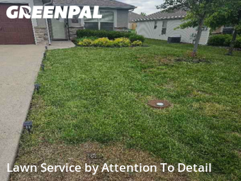 Grass Cut nearby Blue Springs, MO, 