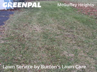 Grass Cut nearby Youngstown, OH, 