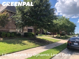 Lawn Service nearby Rockwall, TX, 