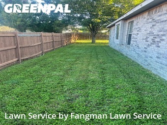 Grass Cutin Denton,76207,Grass Cut by Fangman Lawn Service, work completed in Oct , 2025