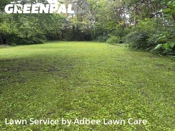 Lawn Mowing Service nearby Champaign, IL, 