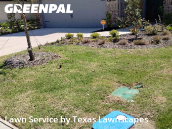 Grass Cutting nearby Wylie, TX, 