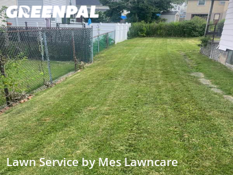 Grass Cutting nearby Pitcairn, PA, 