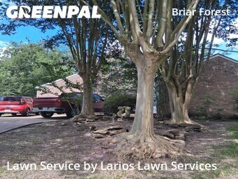 Lawn Mowing Service nearby Houston, TX, 