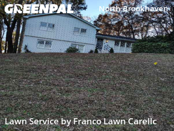 Lawn Carein Atlanta,30319,Grass Cut by Franco Lawn Carellc , work completed in Jan , 2026