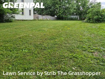 Lawn Mowing Service nearby Shaker Heights, OH, 