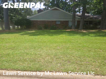 Grass Cut nearby Pearl, MS, 