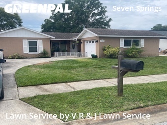 Lawn Cut nearby New Port Richey, FL, 