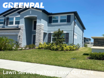 Lawn Care Service nearby Wesley Chapel, FL, 