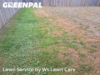 Grass Cutting nearby Seguin, TX, 