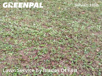 Yard Mowing nearby Atlanta, GA, 