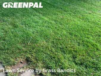 Lawn Service nearby Billings, MT, 