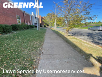 Lawn Cutting nearby St. Louis, MO, 