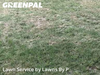 Lawn Cut nearby White Settlement, TX, 