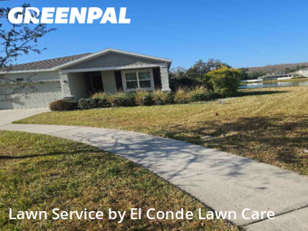 Grass Cut nearby Kissimmee, FL, 