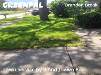 Lawn Mowing Service nearby Valrico, FL, 