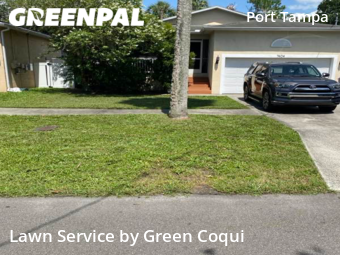 Lawn Mow nearby Tampa, FL, 