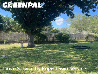 Lawn Mow nearby San Juan, TX, 