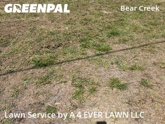 Lawn Mowing Service nearby New Port Richey, FL, 