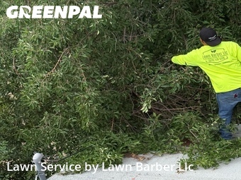Lawn Mow nearby Greeley, CO, 