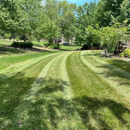 Lawn Care Service in Blue Springs, MO, 64014