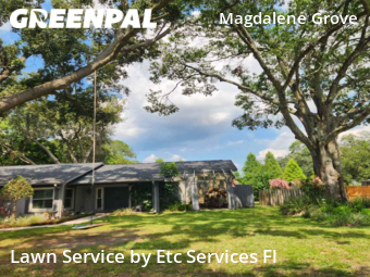 Yard Cutting nearby Tampa, FL, 