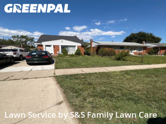 Lawn Cut nearby Fraser, MI, 