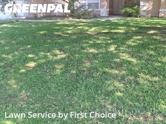 Lawn Care nearby Palm Coast, FL, 
