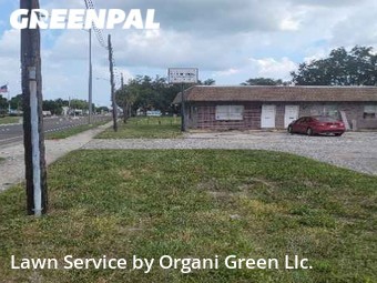 Lawn Mow nearby Tampa, FL, 