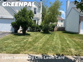 Lawn Mow nearby Joliet, IL, 