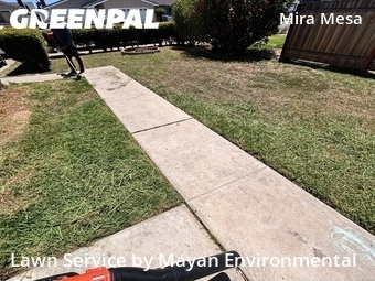 Modern Landscaping In San Diego,92126,Landscaping by Mayan Environmental, work completed in Jun , 2026