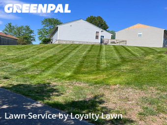 Yard Mowing nearby Lexington, KY, 