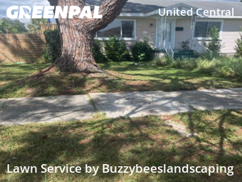 Grass Cuttingin St Petersburg,33713,Lawn Care by Buzzybeeslandscaping, work completed in Dec , 2025