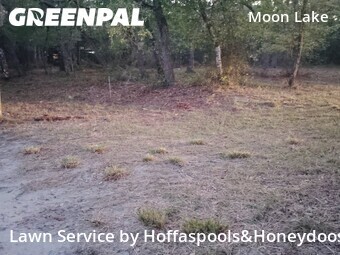 Lawn Cut nearby New Port Richey, FL, 