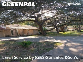 Lawn Mow nearby San Antonio, TX, 