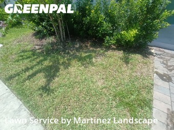 Yard Cutting nearby Apopka, FL, 