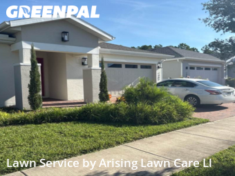 Grass Cut nearby Osceola County, FL, 