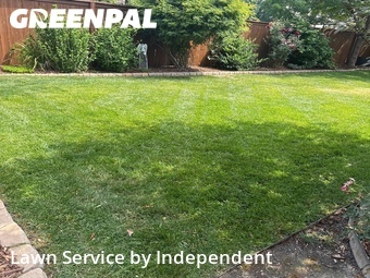 Lawn mowed in Loveland, 80537